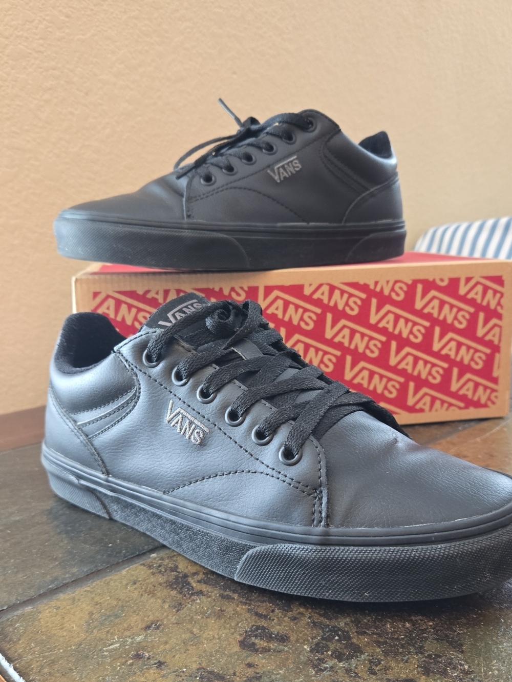 Vans Men’s Black Low-Top Leather Skate Sneakers